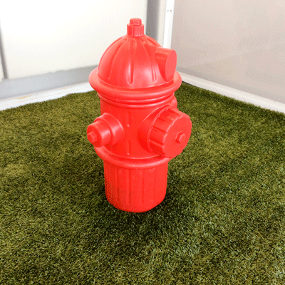 Artificial Turf Pet stain and Odor Removal bay area Artificial Turf Pet stain and Odor Removal bay area
