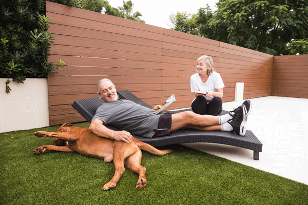 patio turf cleaning bay area